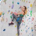 Escalade - Complexe sportif Alice Milliat